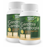 BHUMIJA LIFESCIENCES Garcinia cambogia 350 mg Unflavoured