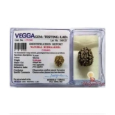 DvR ClicK - 3 Mukhi Rudraksha Bead ( Pack of 1 )