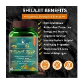 Pure Shilajit For Stamino, Power, Energy Enhance Capsule 65no.s