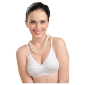 Madam Cotton T-Shirt Bra - White Single - 34B