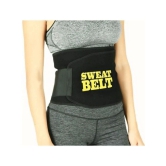 HORSE FIT  (2 in 1) Belt + Single Spring Tummy Trimmer for Fat Loss, Weight Loss and Tummy Trimming Exercise for Both Men and Women (Free Size) - Assorted