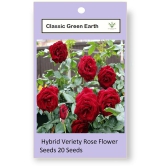 CLASSIC GREEN EARTH - Tube Rose Flower ( 25 Seeds )