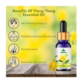 Sonavi Ylang-Ylang Essential Oil Green With Dropper 60 mL ( Pack of 2 )