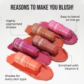 On The Go Blush Stick-Plum Squash