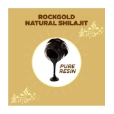 Rockgold Pure Ayurvedic Raw Shilajit/Shilajeet Resin (Semi Liquid) Provides Energy Level,for Men & Women - 15 Gram (Pack of 1)