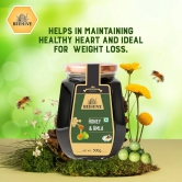 Beehive Amla Honey 500 gm