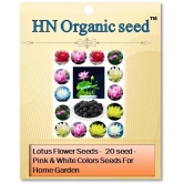 homeagro - Flower Seeds ( Lotus seeds -mixed colours 20 seeds )