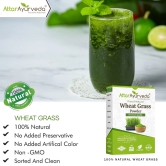 Attar Ayurveda Wheat Grass Powder (100 Gram)