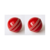 EmmEmm Pack of 2 Pcs Premium Leather Skull Cricket Ball for T-20 and ODIs - M(Men)