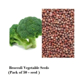 Broccoli Vegetable Seeds (Pack of 50 - seed )