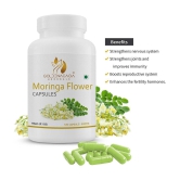 GOLDENACACIA HERRBALS Moringa Flower 120 Capsules Capsule 1 no.s