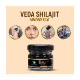 Vedapure Original Shilajit/Shilajeet Resin For Endurance, Bodybuilding and Power & Helps in Energy, Stamina -25 Gram (Pack of 2)