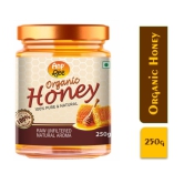 ANP BEE Honey Raw Organic Honey 250 g Pack of 2