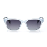 Grey Wayfarer Sunglasses for Men and Women