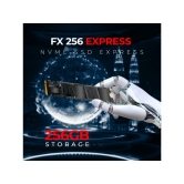 Foxin FX 256 Express NVME SSD