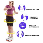 HSP ENTERPRISES TUMMY TWISTER | ACUPRESSURE FOR HOME & GYM FAT  |Unisex Abdominal workout - Blue