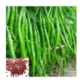 CLASSIC GREEN EARTH - Chilli Vegetable ( 50 Seeds )