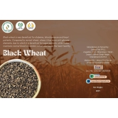 Black Wheat