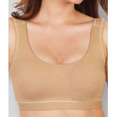 Dermawear Brown Poly Cotton Solid Sports Bra - L