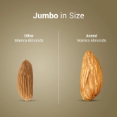 Nutraj Anmol Mamra Almond 500g