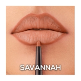 Renee Outline Lip Liner Stick OT 04 Savannah Brown SPF 1 20