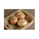 Onion Seeds, Kanda - 200 Seeds