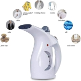 RZ-608 Steamer - 2 in 1 Plastic Electric Iron Portable Handheld Garment and Facial Steamer Brush and Fabric for Ironing Clothes Home and Travel