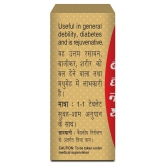 Baidyanath Basant Kusumakar Ras - 25 Tablets