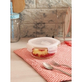 Femora Borosilicate Glass Air Tight Microwave Safe Lunch Box, Lunch Box for Office with Bag Set of 4