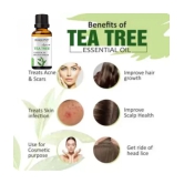 RAQUITYS Tea Tree Essential Oil 15 mL ( Pack of 1 )