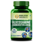 Himalayan Organics Glucosamine Chondroitin MSM with Boswellia For Joint & Cartilage Support 120 Tab