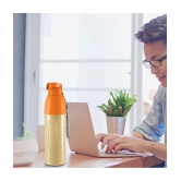 Milton Kool Convex 700 Insulated Inner Pet Water Bottle, 560 ml, Ivory | Easy To Carry | Leak Proof | School | Office | Gym | Hiking | Treking | Travel Bottle - Ivory