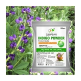 GULBADAN 100% Organic Indigo Powder Henna 100 g