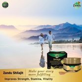 Zandu Pure Himalayan Shilajit Resin 10g