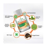 Leanhealth Garcinia Cambogia 800 mg with extract of Guggul and Green Tea - 60 Capsule | Helps in Natural Weight Manegement