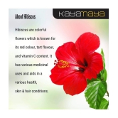 Kayamaya 100% Pure Hibiscus Powder Hair Mask 100 g