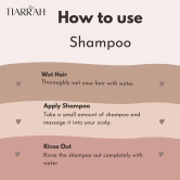 Dark Forest Shampoo-Pack of 1