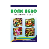 homeagro - Moringa Vegetable ( 15 Seeds )