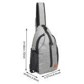 Fly Fashion Light Grey 6 Ltrs Backpack