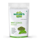 Nature''s Gift - 100 gm Mint Powder (Pack of 1)