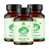 Ginkgo Biloba Veg. Capsules Pack of 3 - 120's Capsules