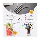 HOMETALES Stainless Steel Silver Straws - Silver