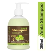 Kayamaya Anti Hair Fall Shampoo 300 ( Pack of 1 )