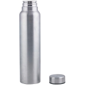 PearlPet F10 Silver Water Bottle 1000 mL ( ) - Silver