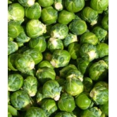 Sprouts - Brussel 500 Gms