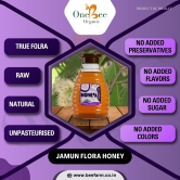 ONE BEE ORGANIC Honey | Jamun Honey/Blackberry Flora Honey | Natural Flora Honey - 280 GM.