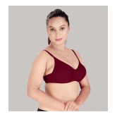 HAYA Maroon Cotton Non Padded Womens Plunge Bra ( Pack of 1 ) - None