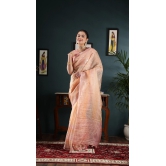 Organza saree