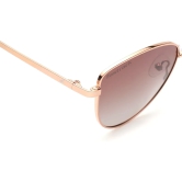 Brown CatEye Sunglasses for Women