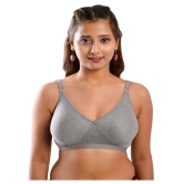 Elina Cotton T-Shirt Bra - Grey Single - 32C